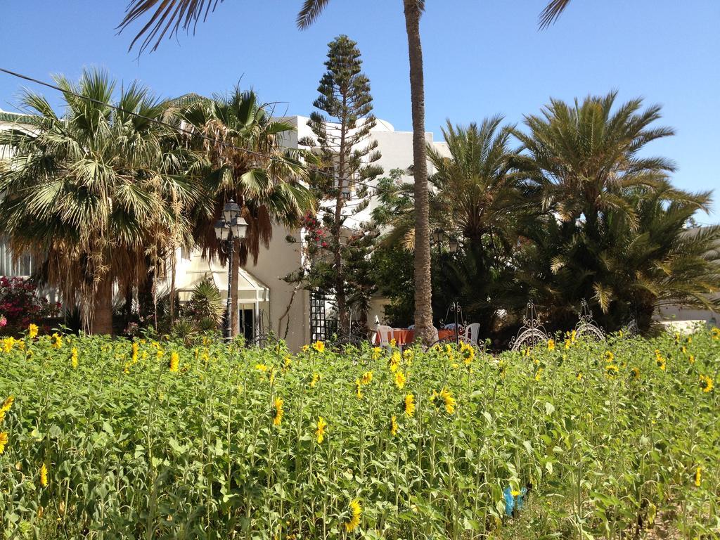 Hotel Djerba Orient Mezraia Exteriér fotografie