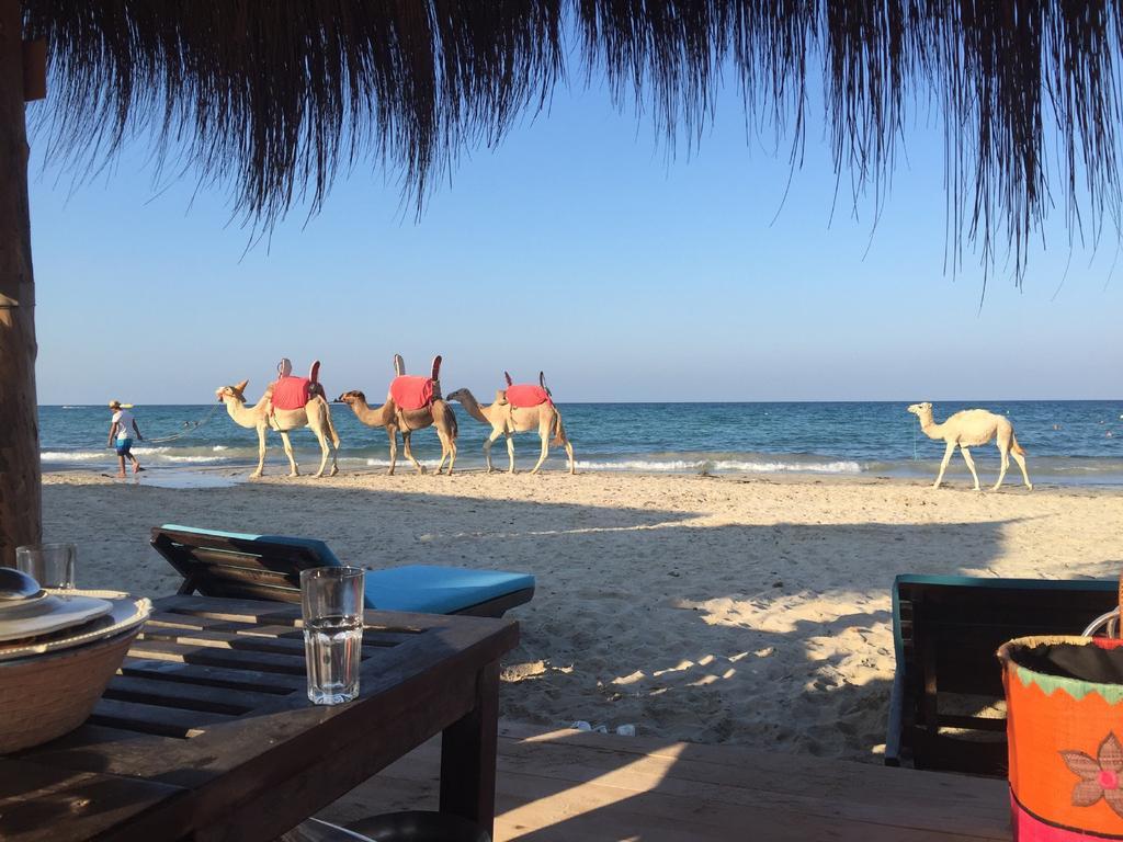 Hotel Djerba Orient Mezraia Exteriér fotografie